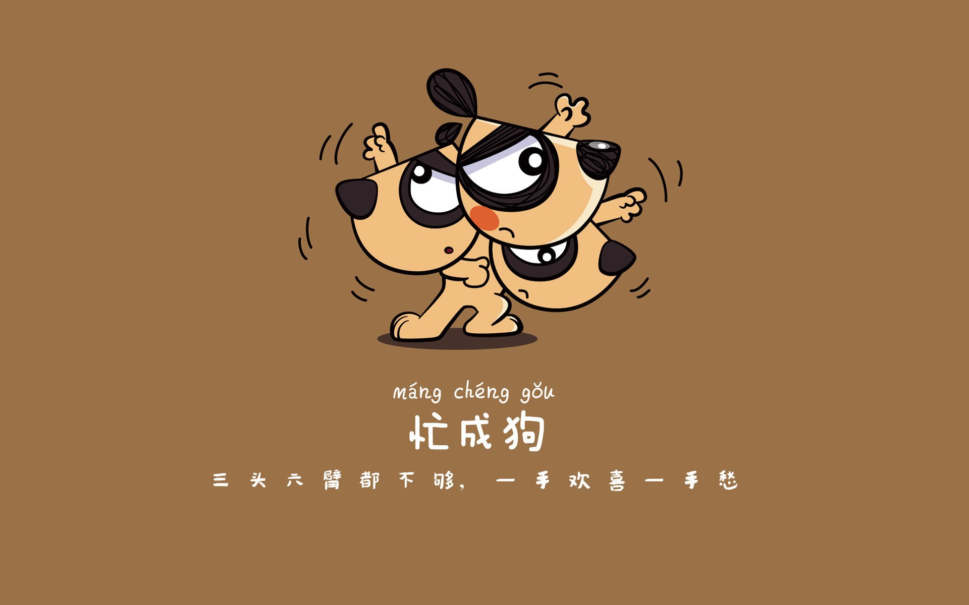 世界乒乓球联赛青训营导师资格复审第2批通过名单公布，乒乓球世青赛冠军